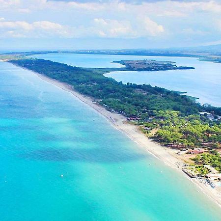 Chambres D Hotes A 20 Pas De La Plage リュクシアナ エクステリア 写真